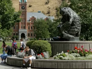Read more about the article The University of Montana