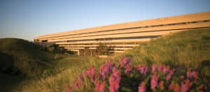 Read more about the article University of Lethbridge