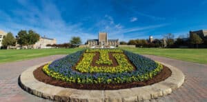 Read more about the article University of Tulsa